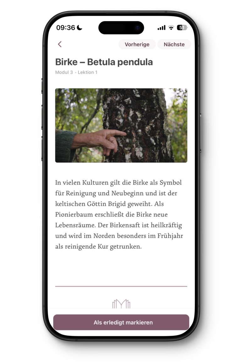 App-Baumkurs-3