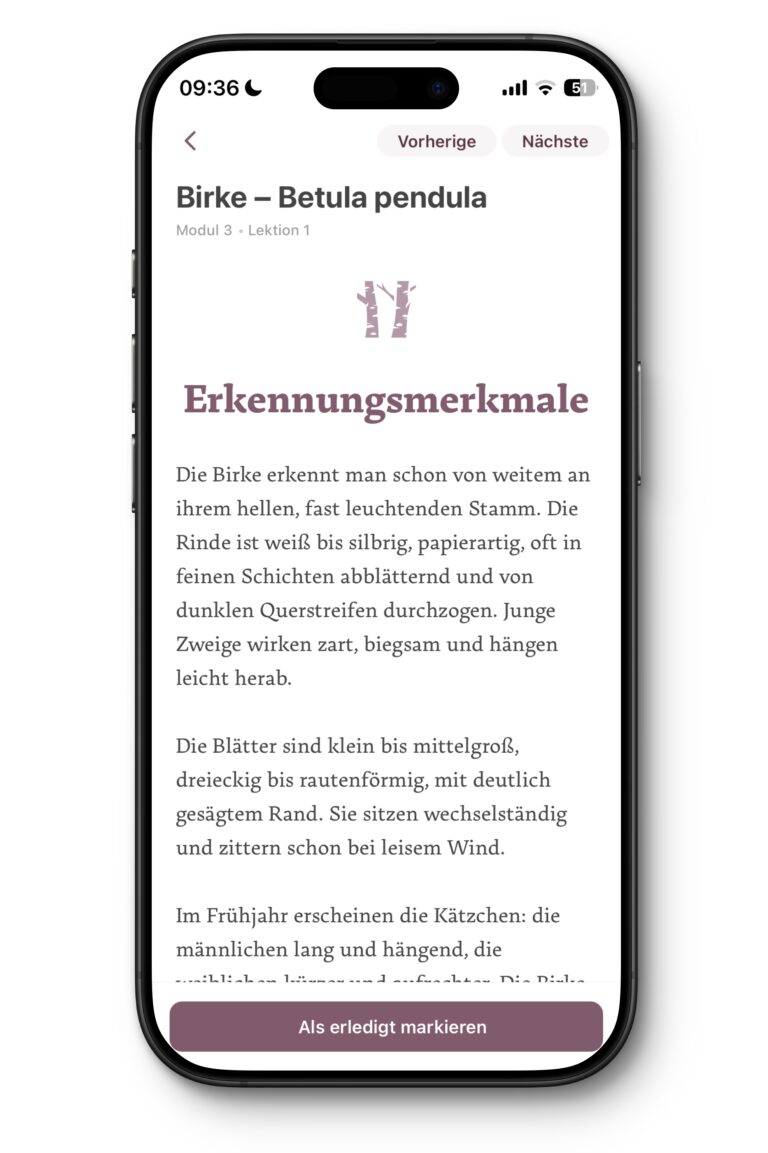 App-Baumkurs-4