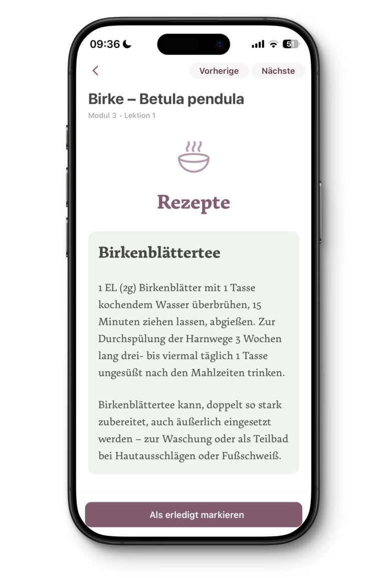 App-Baumkurs-6
