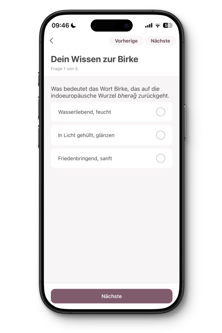 App-Baumkurs-7