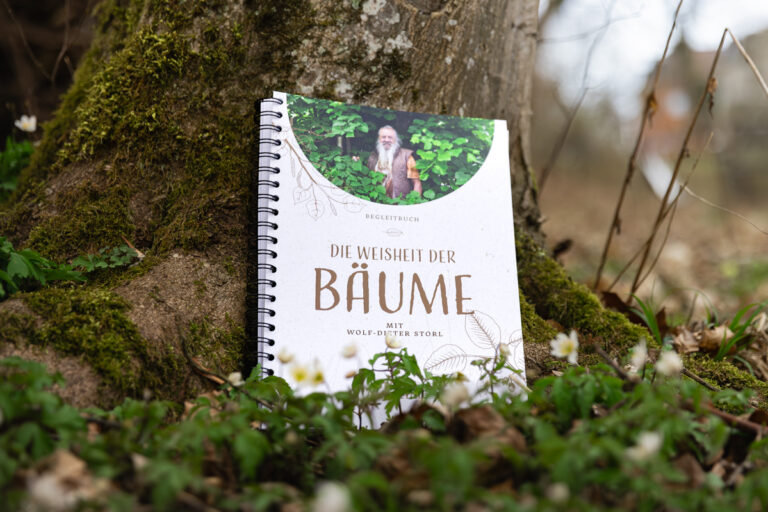 Baumkurs Workbook klein-1