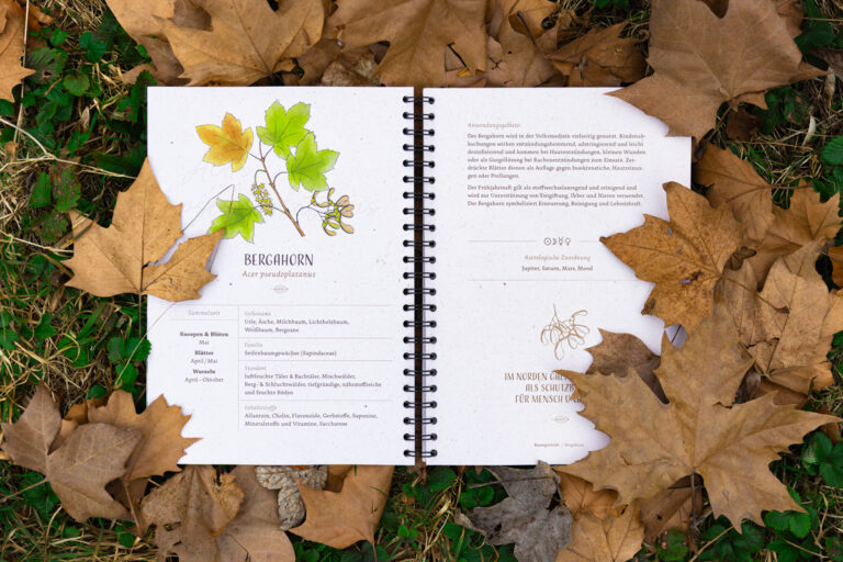 Baumkurs Workbook klein-3