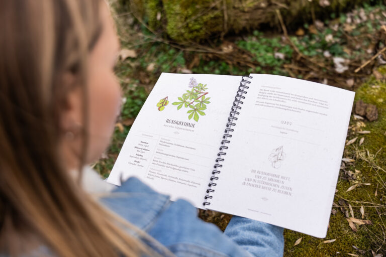 Baumkurs Workbook klein-5