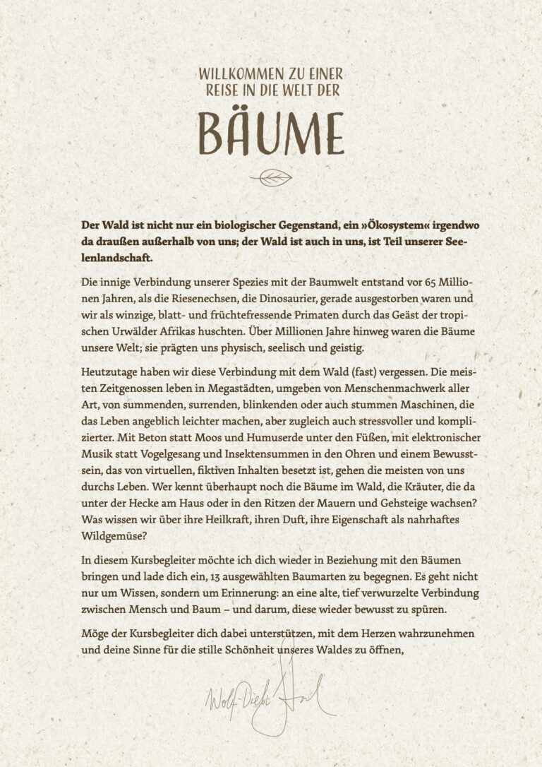 Leseprobe Baumkurs 02