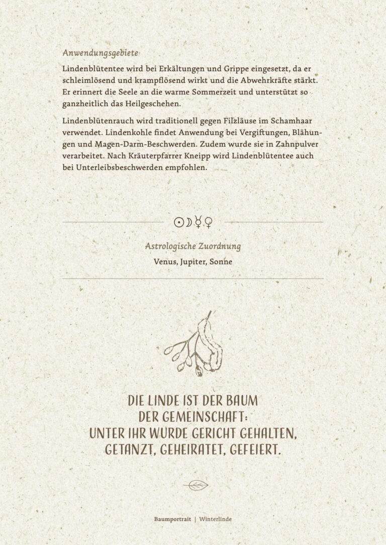 Leseprobe Baumkurs 13